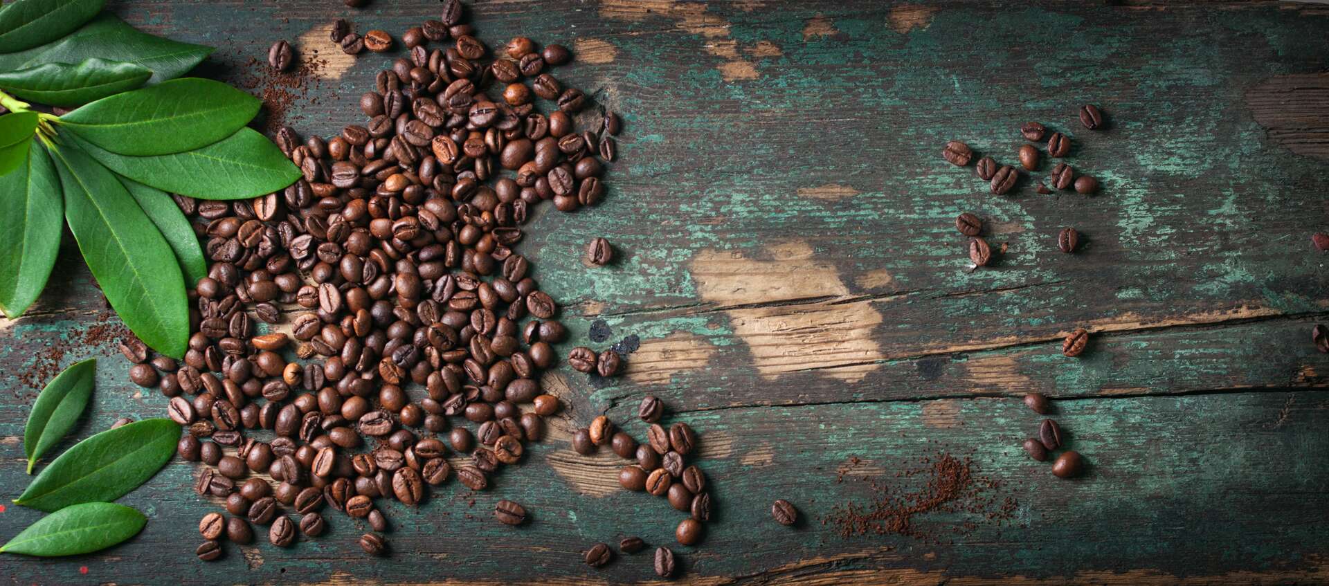 world of coffee